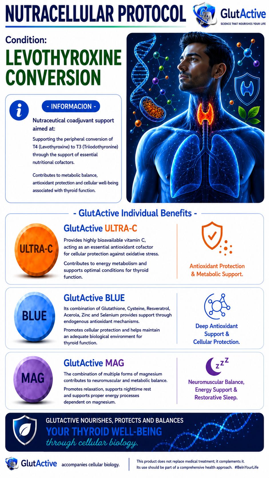 NutraCellular Thyroid Support Protocol